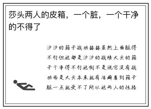 莎头两人的皮箱，一个脏，一个干净的不得了
